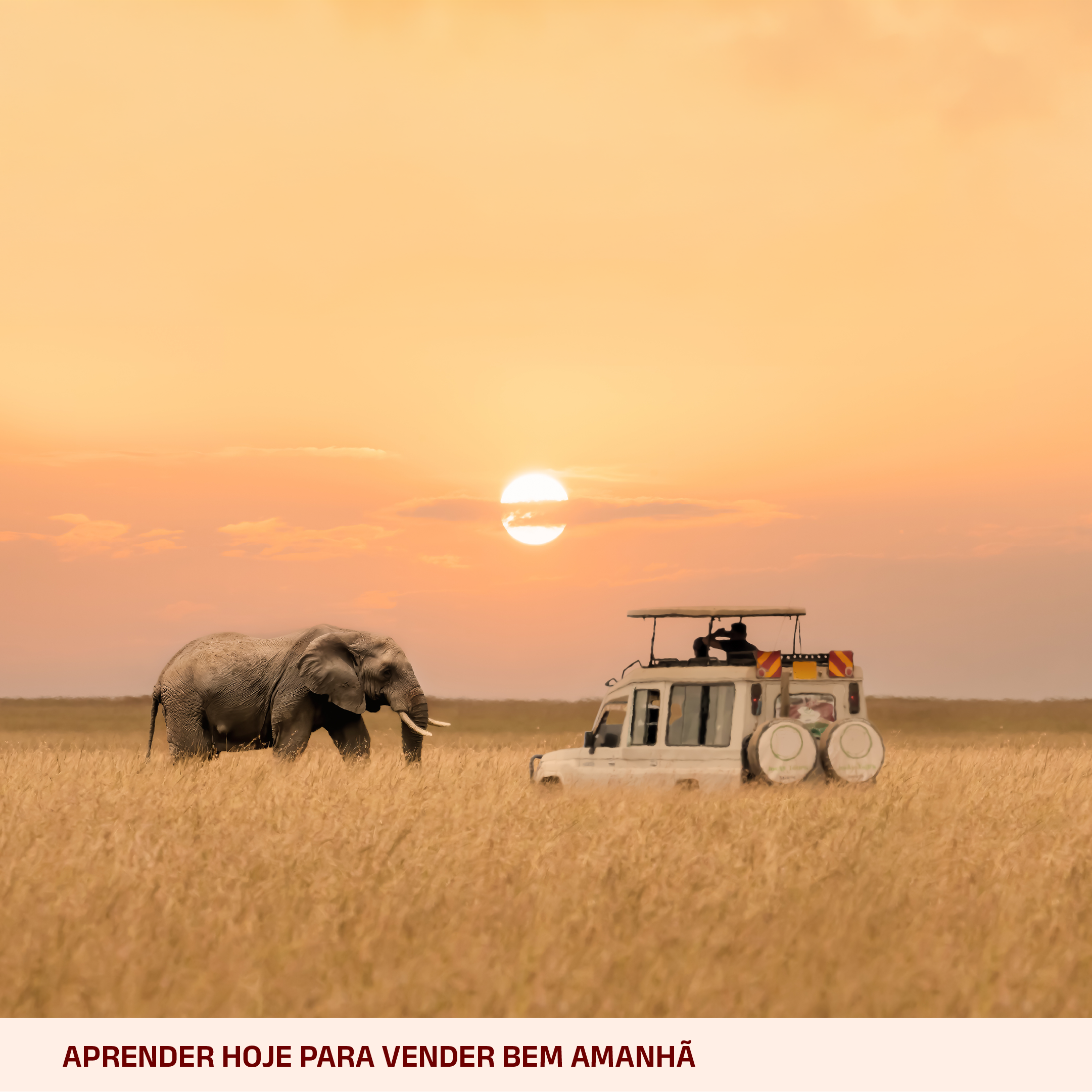 Curso África – Safáris e algo mais!